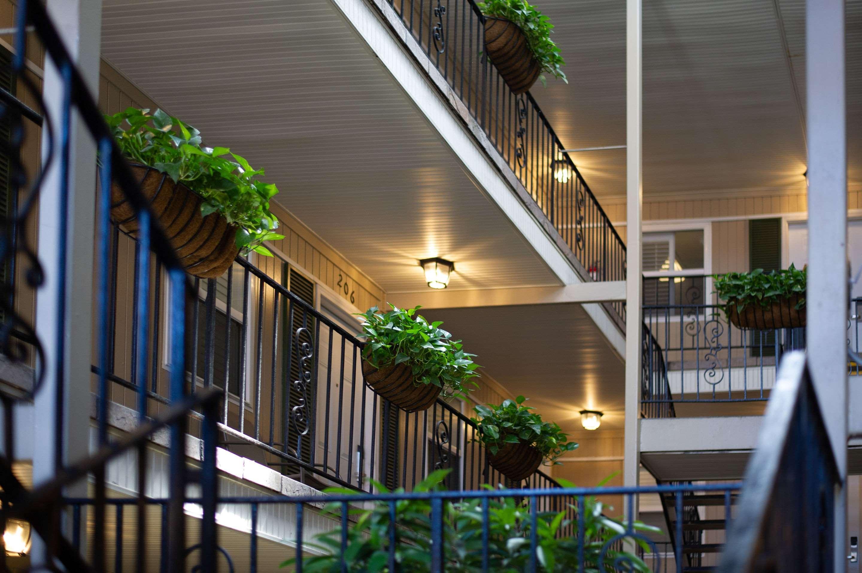 Frenchmen Orleans At 519, Ascend Hotel Collection New Orleans Dış mekan fotoğraf