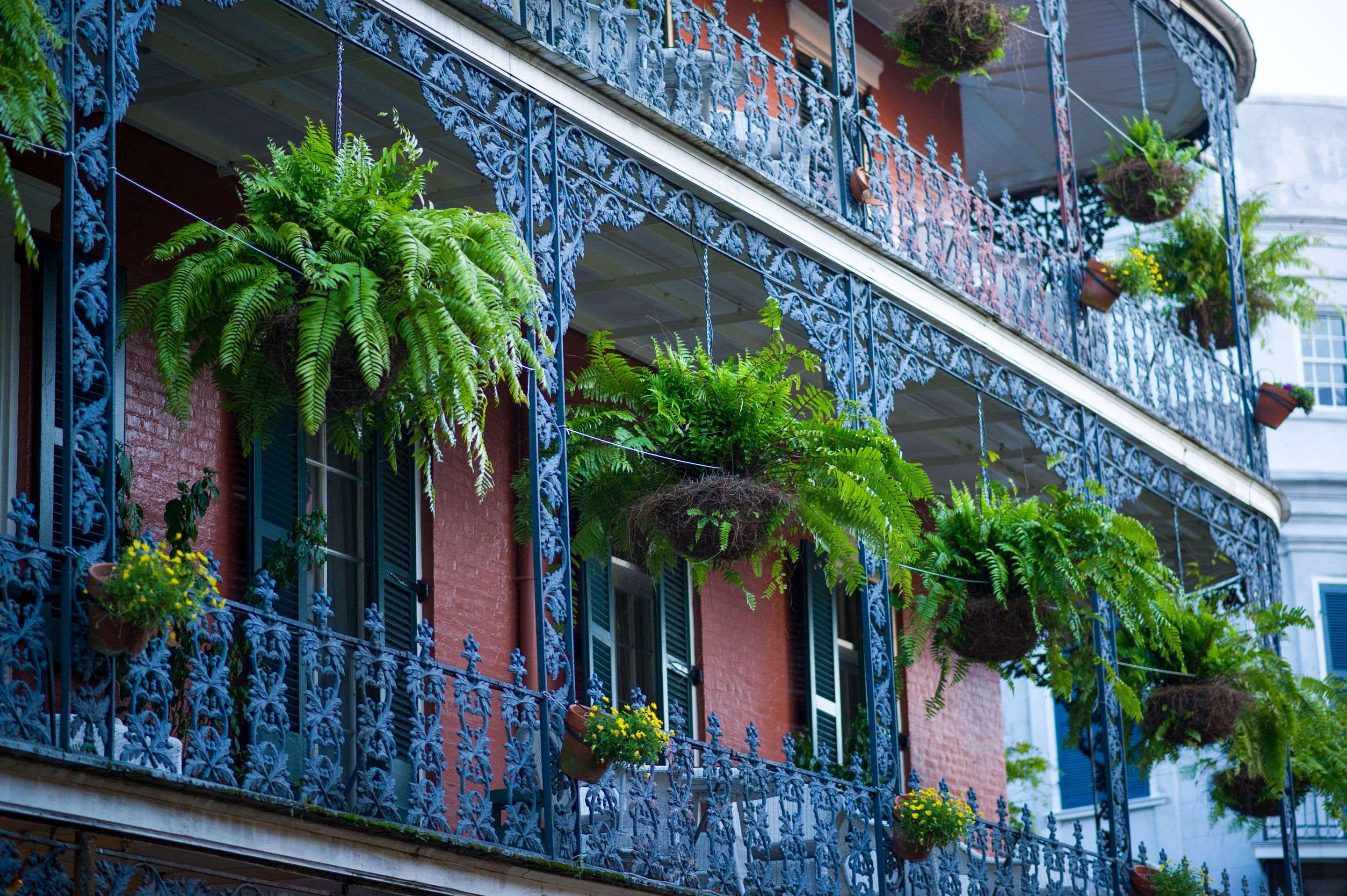Frenchmen Orleans At 519, Ascend Hotel Collection New Orleans Dış mekan fotoğraf